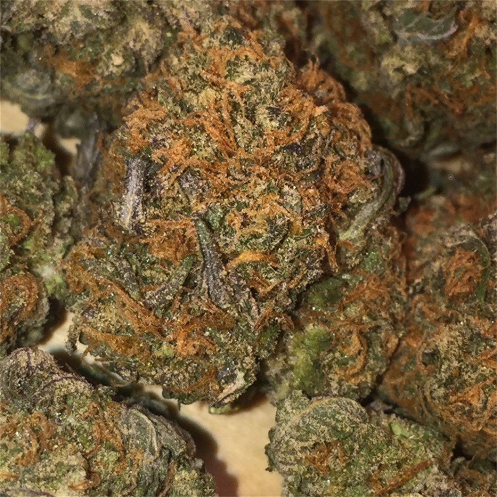 Pink Berry Weed Strain Information
