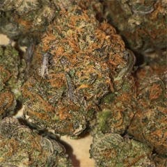 User uploaded image of Pink Berry