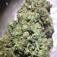 User uploaded image of Pink Bubba