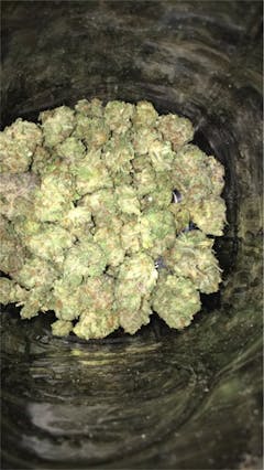 User uploaded image of Pink Bubba