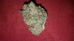 User uploaded image of Pink Champagne