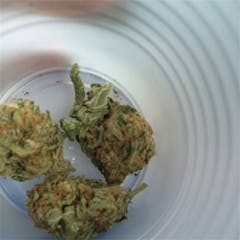 User uploaded image of Pink Champagne