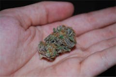 User uploaded image of Pink Champagne