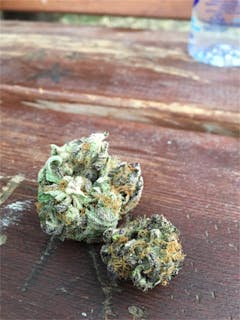 User uploaded image of Pink Champagne