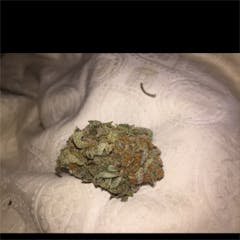 User uploaded image of Pink Champagne