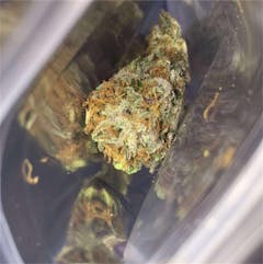 User uploaded image of Pink Champagne