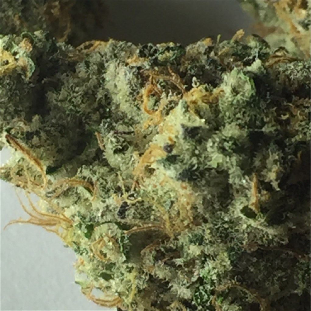 Pink Cookies Weed Strain Information