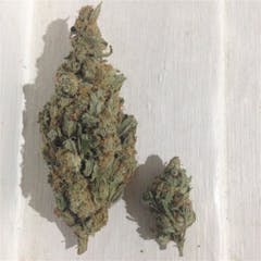User uploaded image of Pink Hawaiian