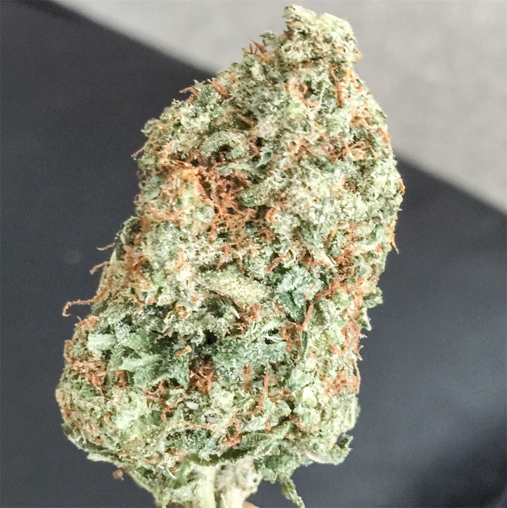 Pink Kush aka Pink OG, Sedamen Weed Strain Information | Leafly