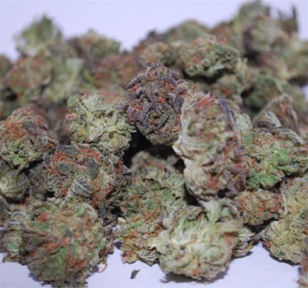 Photos of Pink Lemonade Weed Strain Buds Leafly