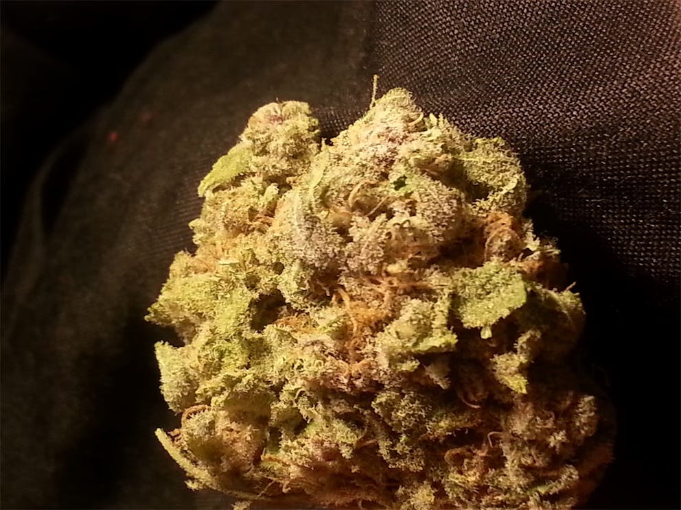 Photos of Pink Lemonade Weed Strain Buds Leafly