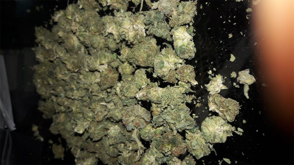 Photos of Pink Lemonade Weed Strain Buds Leafly