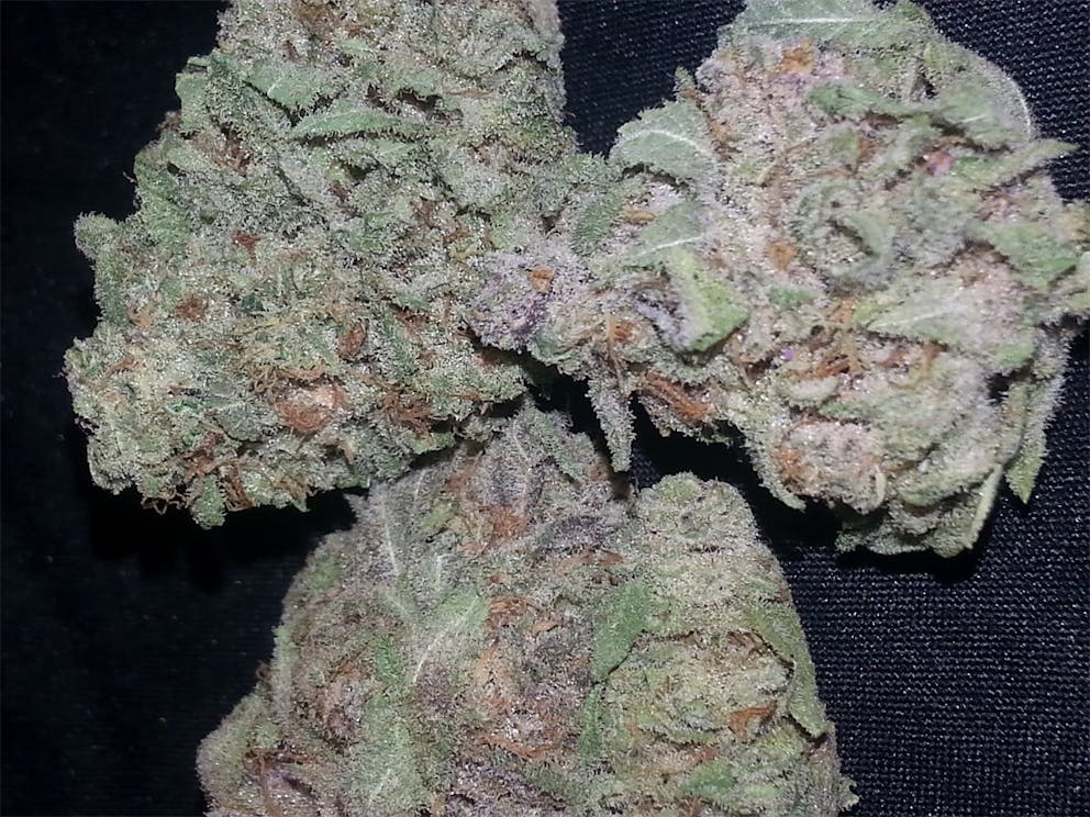 Photos of Pink Lemonade Weed Strain Buds Leafly