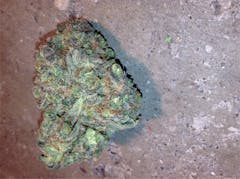 User uploaded image of Pink Mango