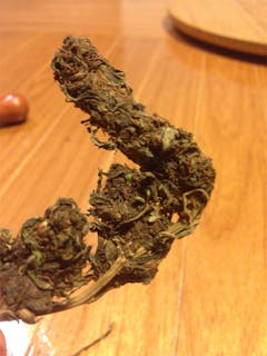 User uploaded image of Pink Mango