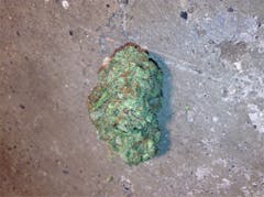 User uploaded image of Pink Mango