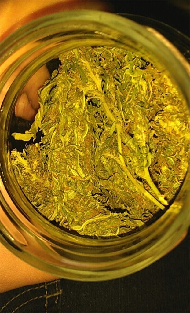 Pink Mango Weed Strain Information Leafly