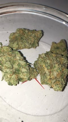 User uploaded image of Pink Panther