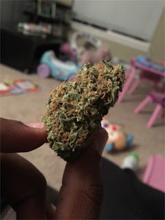 User uploaded image of Pink Panther