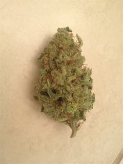 User uploaded image of Pink Pez