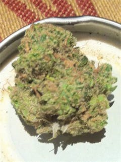 User uploaded image of Pink Pez