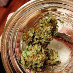 User uploaded image of Pink Pez