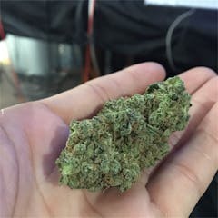 User uploaded image of Pink Pez