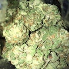 User uploaded image of Platinum Bubba Kush