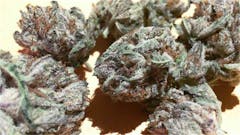 User uploaded image of Platinum Bubba Kush