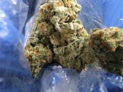 User uploaded image of Platinum Bubba Kush