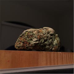User uploaded image of Platinum Bubba Kush