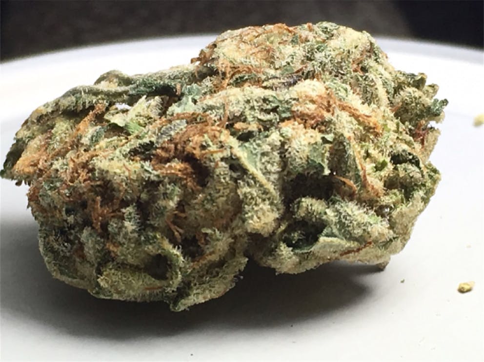 Photos of Platinum Bubba Kush Weed Strain Buds | Leafly