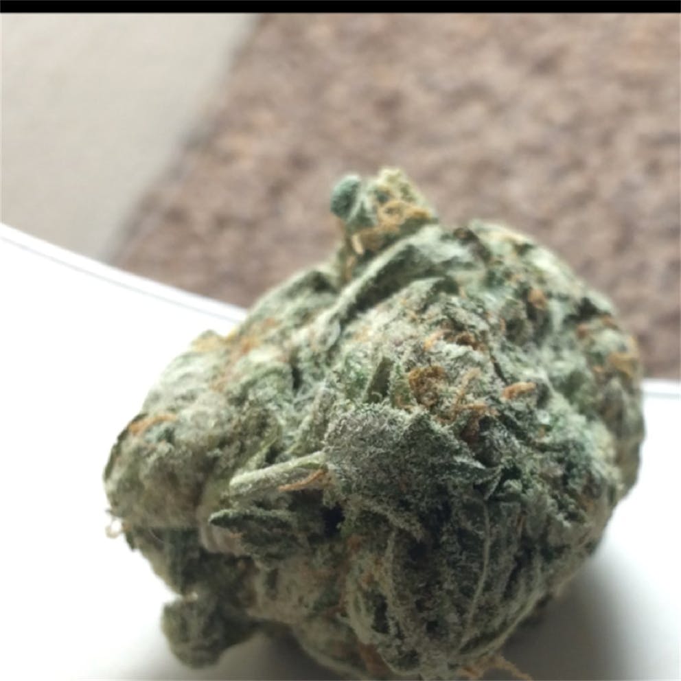 Photos of Platinum Cookies Weed Strain Buds Leafly
