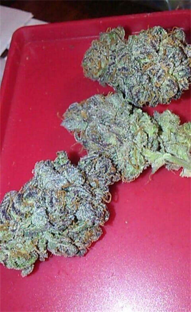 Platinum Cookies aka Platinum Girl Scout Cookies, Platinum GSC, PGSC