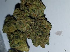User uploaded image of Platinum Kush