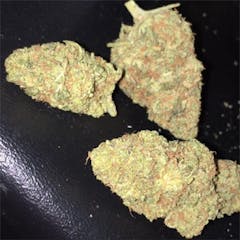 User uploaded image of Platinum Kush