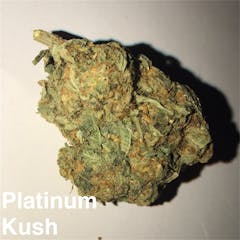 User uploaded image of Platinum Kush