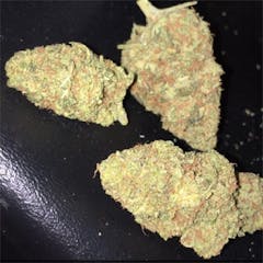 User uploaded image of Platinum Kush
