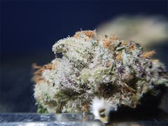 User uploaded image of Platinum OG