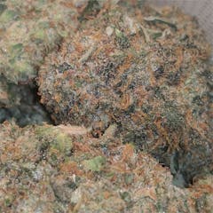 User uploaded image of Platinum OG