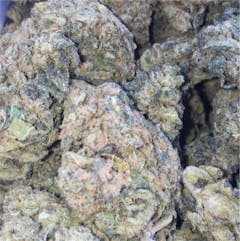 User uploaded image of Platinum OG