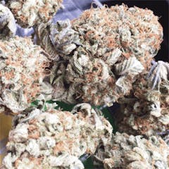 User uploaded image of Platinum OG