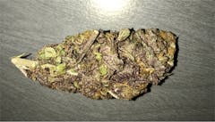 User uploaded image of Platinum Purple Kush