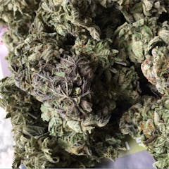 User uploaded image of Platinum Purple Kush