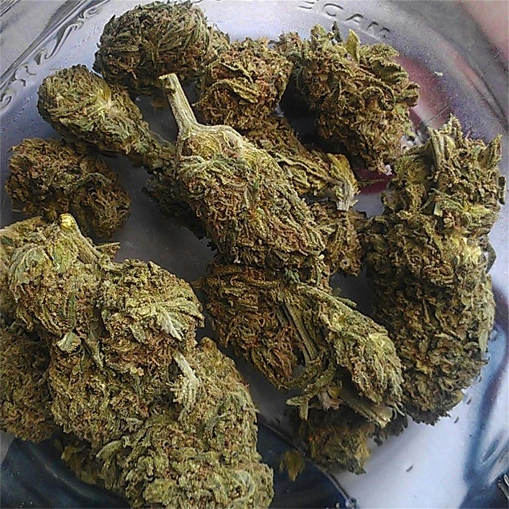 Platinum Purple Kush aka Platinum Purple, Purple Platinum Weed Strain