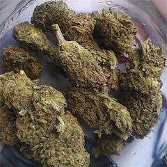 User uploaded image of Platinum Purple Kush