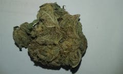 User uploaded image of Platinum Purple Kush