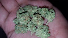 User uploaded image of Platinum Wreck