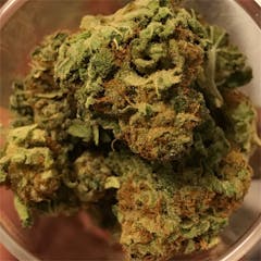 User uploaded image of Plushberry