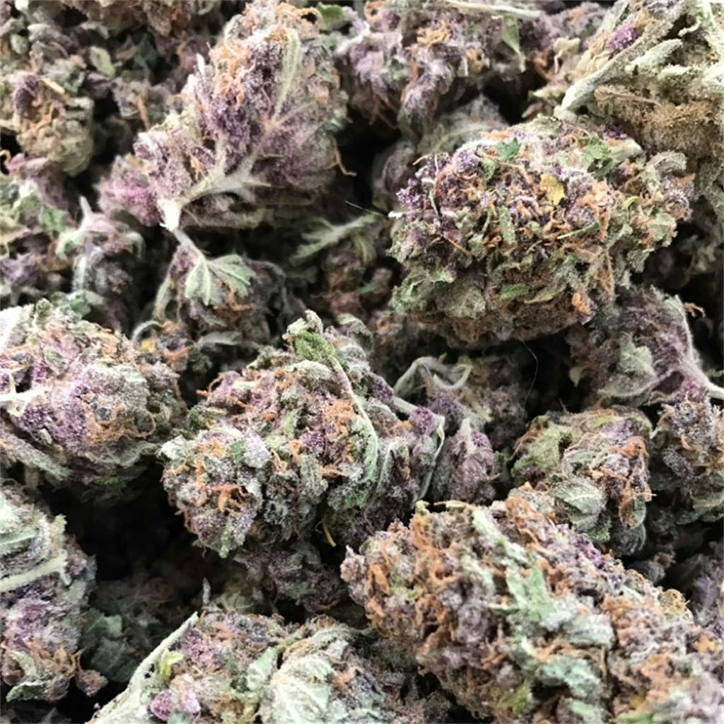Plushberry aka Plush Berry, Plushberry Kush Weed Strain Information